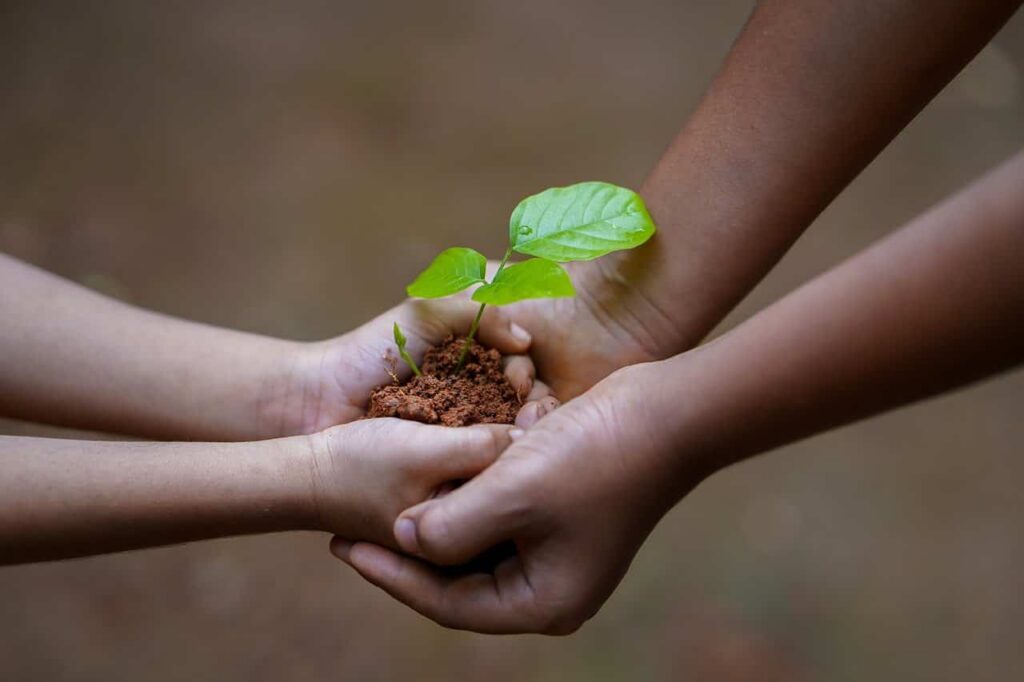 Positive behaviour support and non-restrictive practice